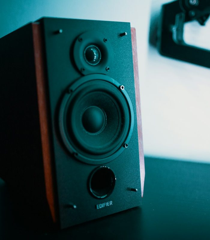 Walnut speaker